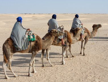 Tourists on camels clipart