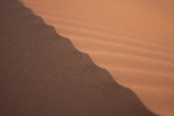 Eastern Desert — Stock Photo, Image