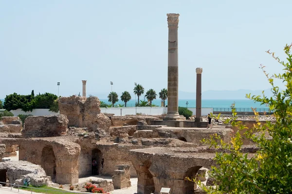 Ruïnes Van Thermen Van Oude Stad Carthago Tunesië — Stockfoto