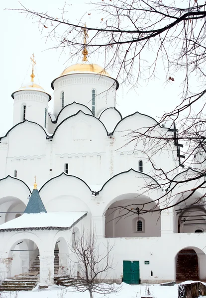 ポクロフ スキー大聖堂ポクロフ スキー修道院スーズダリ ロシアの金の指輪の都市 — ストック写真