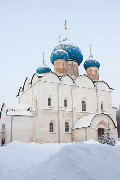 克里姆林宫是苏兹达尔的心脏 金色圆环俄罗斯 — 图库照片
