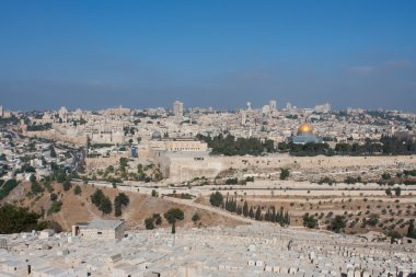 Jerusalem view - old city, mosque, church, synagogue clipart