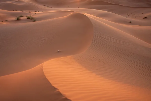 Les Dunes Sable Désert Oriental — Photo