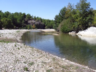 ağaçlar ve Nehri manzarası. Türkiye