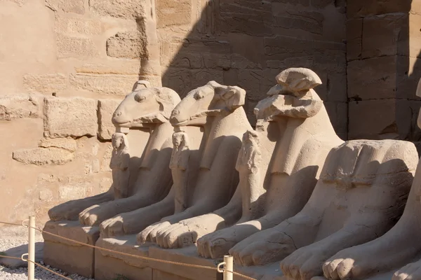 ルクソールの近くのエジプトのカルナック神殿 — ストック写真