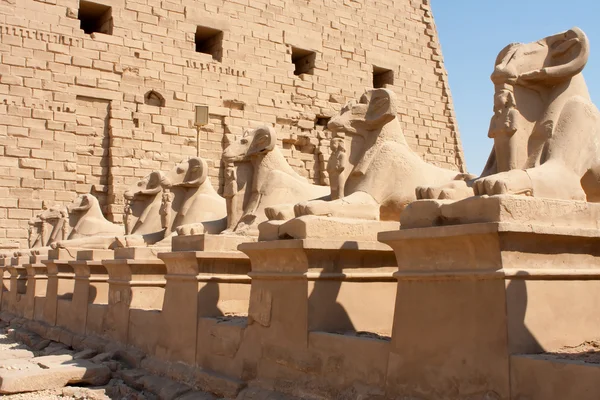 Temple Of Karnak — Stock Photo, Image