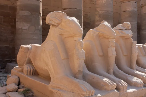 Tempel von Karnak — Stockfoto