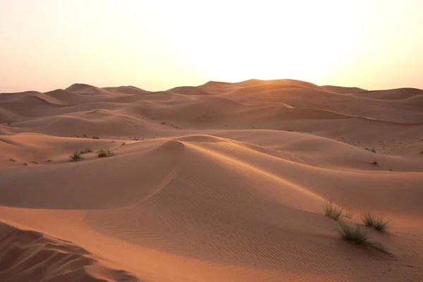 Dunas Areia Deserto Oriental — Fotografia de Stock
