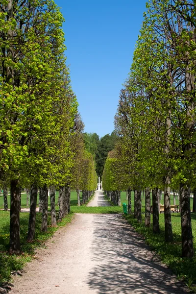 Path in Arkhangelskoye Estate — Stock Photo, Image