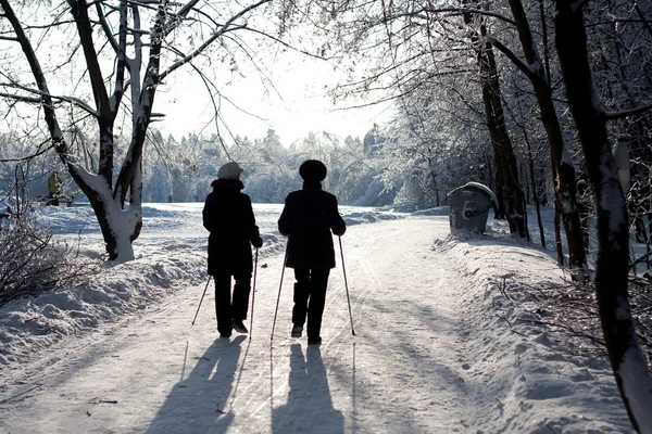 stock image Winter Park