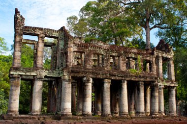 aşırı büyümüş khmer harabe angkor wat, cambodia.