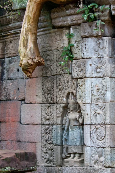 蔓的废墟-柬埔寨 — 图库照片