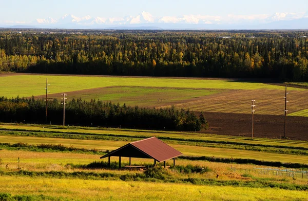 Widok z alaska range jesienią z fairbanks — Zdjęcie stockowe