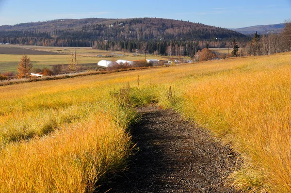 Landsbygdens trail nära experimental farm — Stockfoto