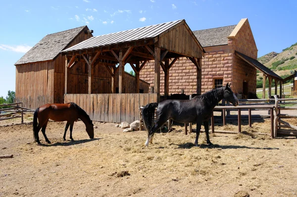 この時点で歴史的な馬小屋がユタ州の場所記念碑です。 ロイヤリティフリーのストック画像
