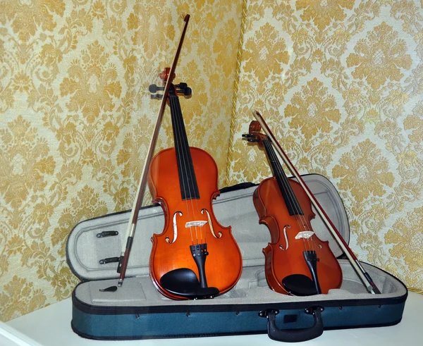 Скрипки — стокове фото