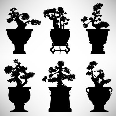 Bonsai Tree Plant Flower Pot clipart