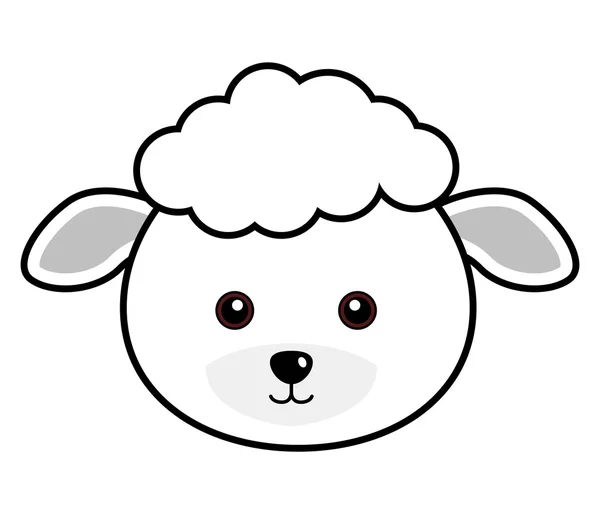 可爱的绵羊矢量 — 图库矢量图片