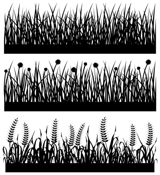 Grass Plant Flower Silhouette — Stok Vektör