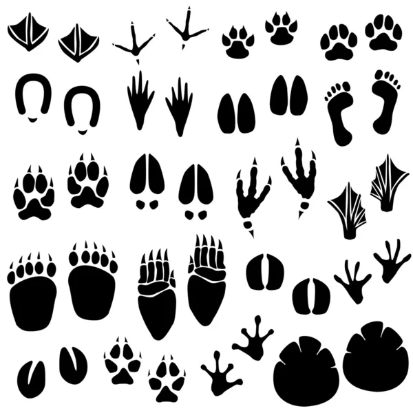 deer footprint clipart outline