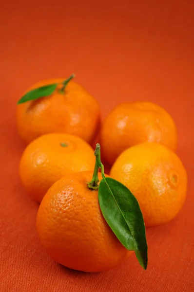 Plusieurs Mandarines Feuilles Sur Fond Orange — Photo