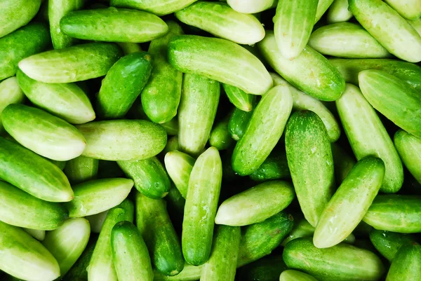 Many of cucumber in fresh market — Stock Photo, Image