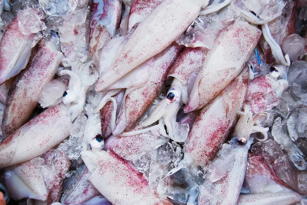 Viele rohe Tintenfische auf dem Frischmarkt — Stockfoto