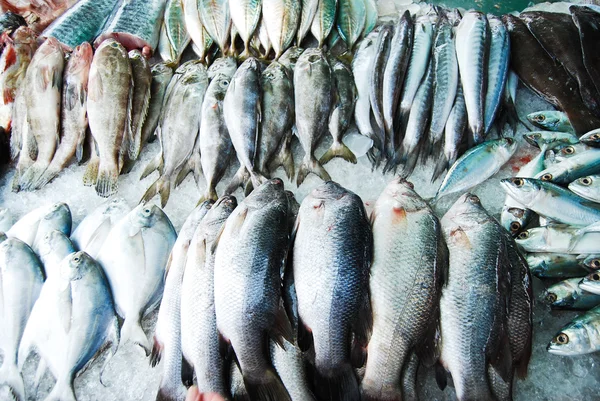 Mnoho druh ryby v trhu s čerstvým ovocem — Stock fotografie