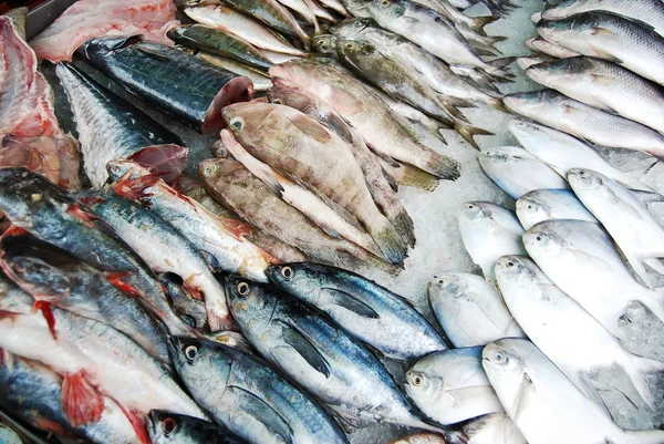Vele soorten van vissen in de verse markt — Stockfoto