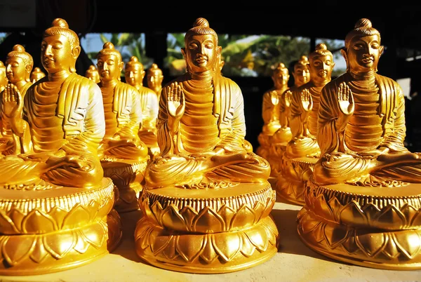Many of Golden Buddha Statue — Stock Photo, Image