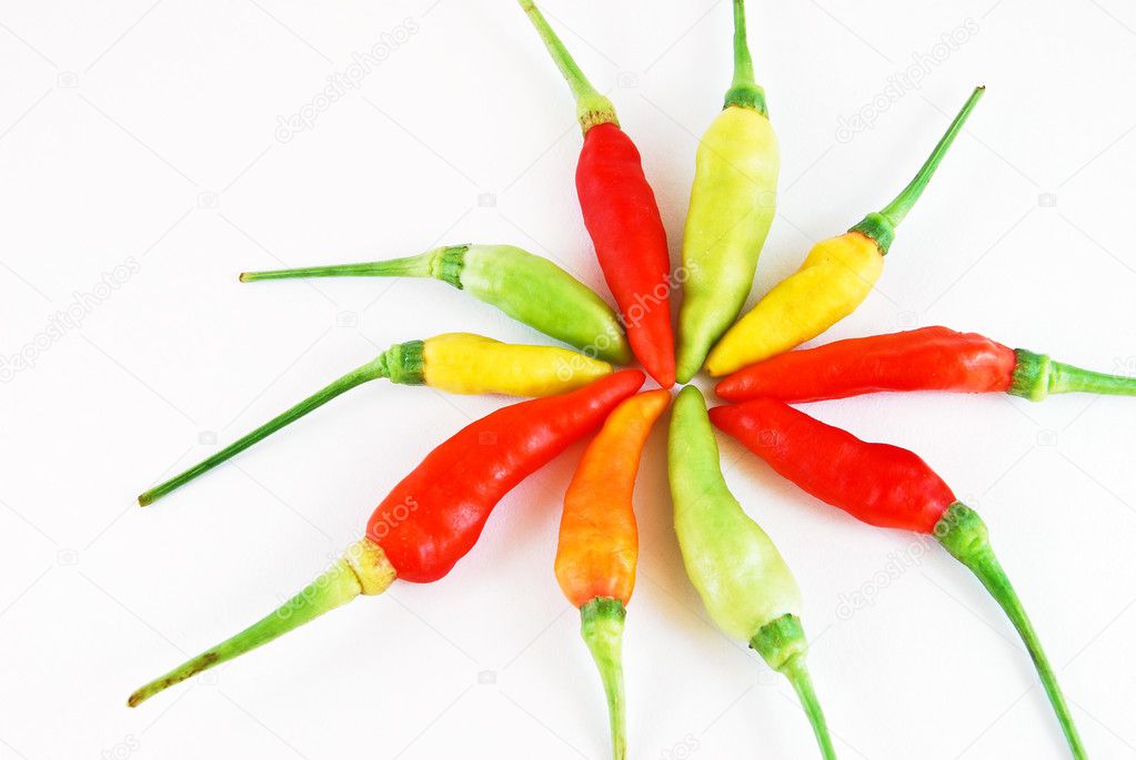 Aligned colorful chili isolated on white background