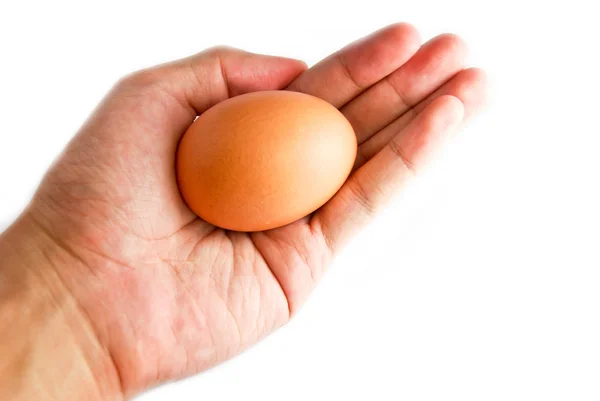 Mano sosteniendo huevo fresco aislado —  Fotos de Stock
