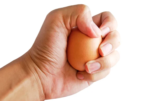 Mão segurando ovo fresco isolado — Fotografia de Stock