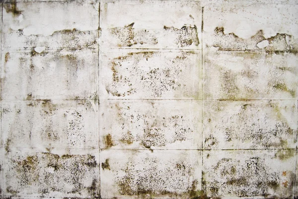 Dirt white concrete wall — Stock Photo, Image