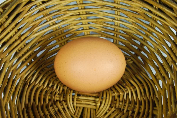 Huevo fresco en cesta —  Fotos de Stock