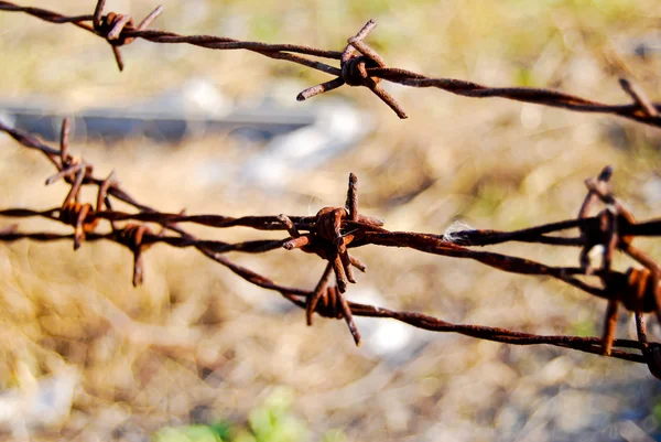 Old rusty barb barbed thorn fence wire — Stock Photo, Image