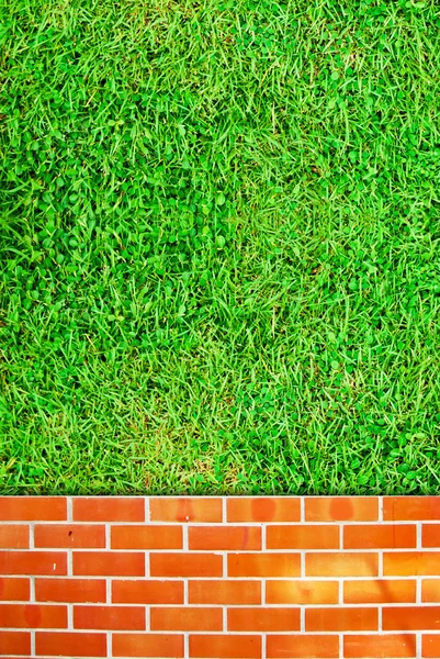 Cerca de parede de tijolo e campo de grama — Fotografia de Stock