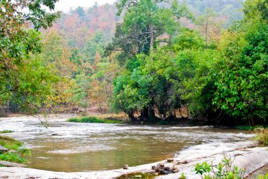View of beautiful river in forest and mountain area