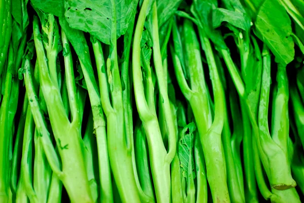 stock image Fresh asian kale lettuce in fresh market , Asia , Thailand