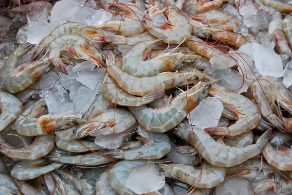 Crevettes fraîches crues sur le marché — Photo