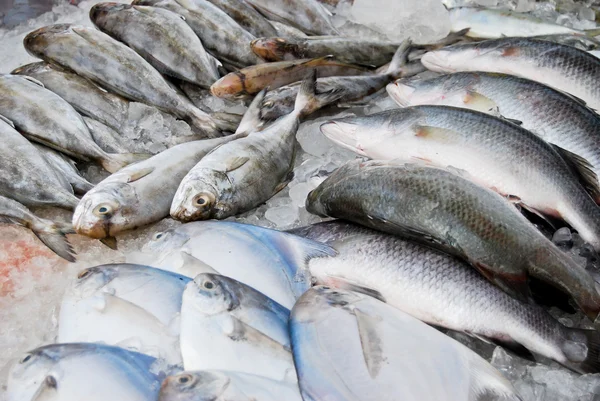 Ποικιλία Από Φρέσκα Ψάρια Θαλασσινά Στην Αγορά Closeup Φόντο Ασία — Φωτογραφία Αρχείου