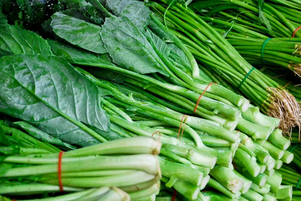 stock image Fresh asian kale lettuce in fresh market , Asia , Thailand