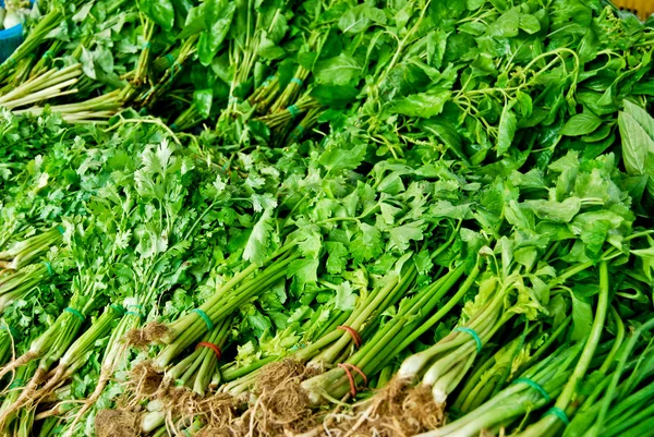 stock image Variety of fresh vegetables in market closeup background , Asia , Thailand