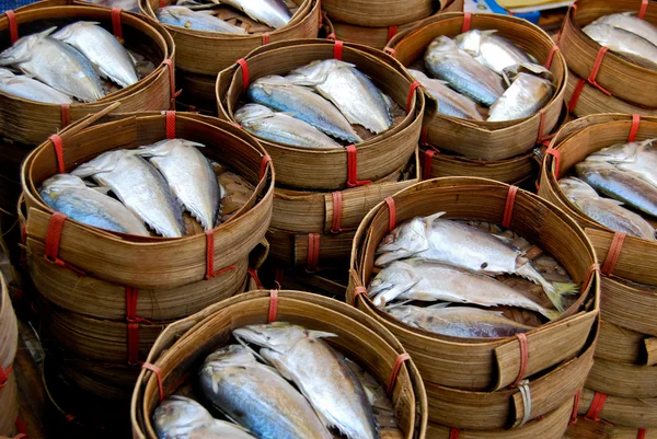 Verse makreel in markt — Stockfoto