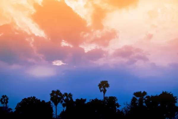 シルエット背景と夕暮れの空 — ストック写真