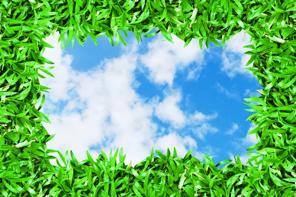 Trawa Zielona Ramka Tło Zachmurzony Piękne Błękitne Niebo — Zdjęcie stockowe