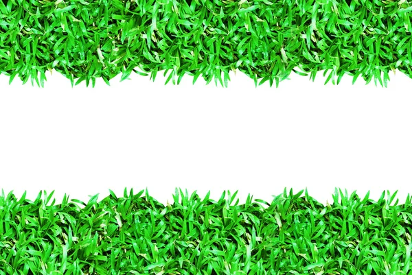 Green grass frame isolated on white background — Stock Photo, Image