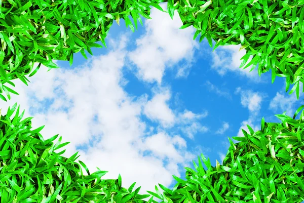 Πράσινο γρασίδι κορνίζα σε όμορφο ουρανό φόντο — Φωτογραφία Αρχείου