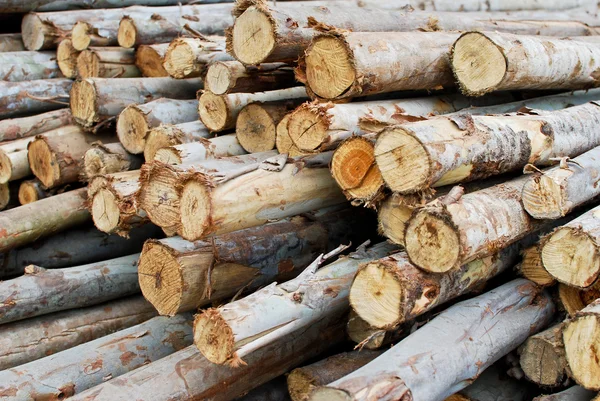 Timeber Odun Yığını Depolama Inşaat Veya Sanayi Doku Arka Plan — Stok fotoğraf
