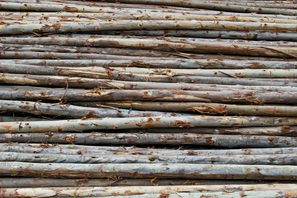 Montón de madera en el almacenamiento de troncos —  Fotos de Stock